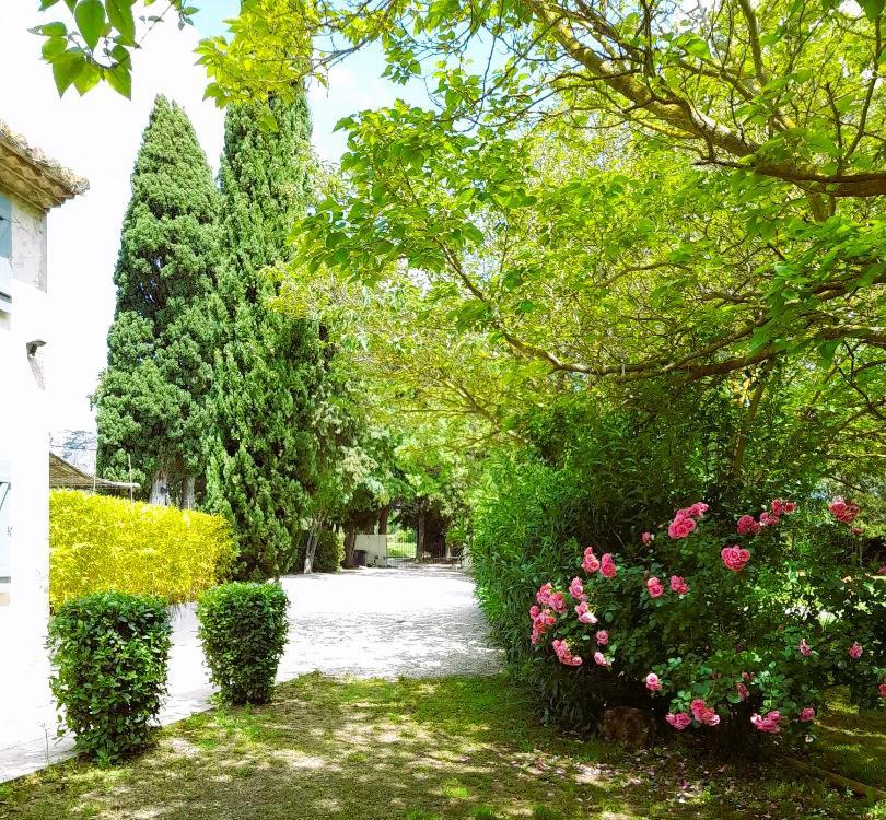 Le Mas Des Vergers Salon-de-Provence Eksteriør bilde